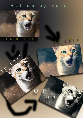 Photoshop Color Effect Actions