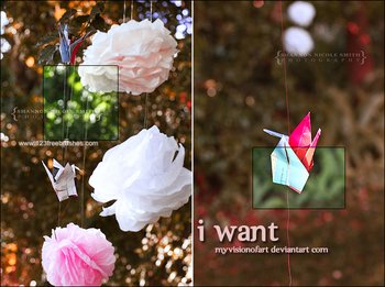 Photoshop Color Effect Actions