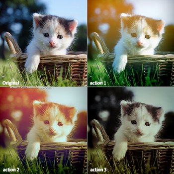 Photoshop Color Effect Actions