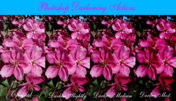 Photoshop Darkening Actions