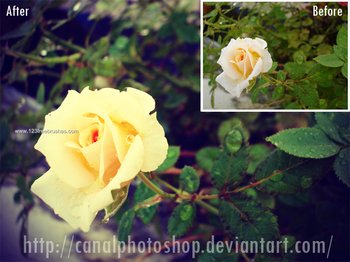 Photoshop Filters Instagram