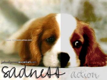 Photoshop Free Actions Download