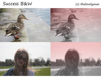 Photoshop Free Actions Download