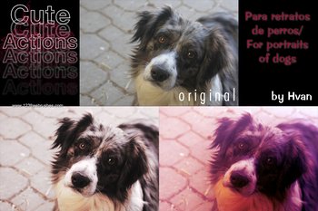 Photoshop Free Actions Download