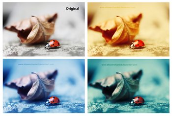 Photoshop Free Actions Download