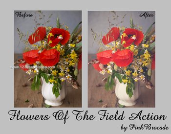 Photoshop Free Actions Download