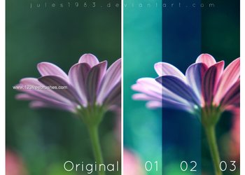 Photoshop Nature Flower Actions
