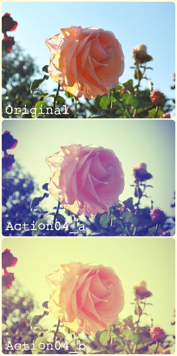 Photoshop Nature Flower Actions
