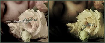 Photoshop Nature Flower Actions
