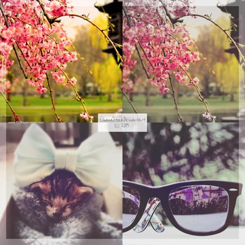 Photoshop Nature Flower Actions