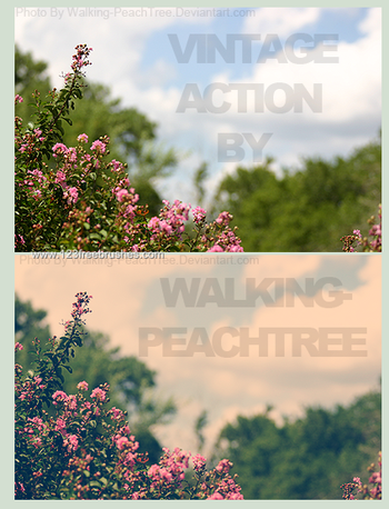 Photoshop Nature Flower Actions