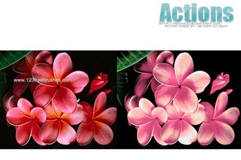 Photoshop Nature Flower Actions