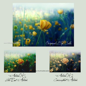 Photoshop Nature Flower Actions