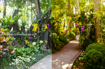 Photoshop Nature Flower Actions