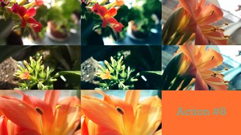 Photoshop Nature Flower Actions