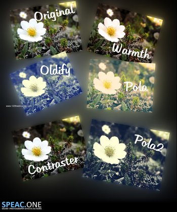 Photoshop Nature Flower Actions
