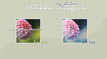 Photoshop Nature Flower Actions