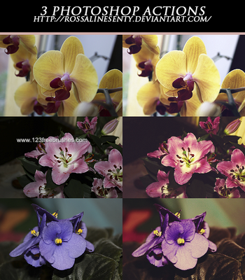 Photoshop Nature Flower Actions