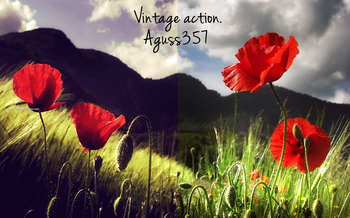 Photoshop Nature Flower Actions