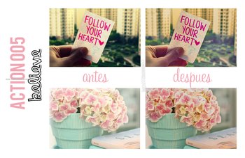 Photoshop Nature Flower Actions
