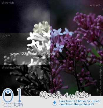 Photoshop Nature Flower Actions