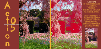 Photoshop Nature Flower Actions