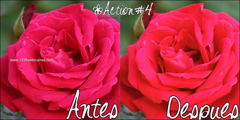 Photoshop Nature Flower Actions