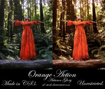 Photoshop Orange Tones Action