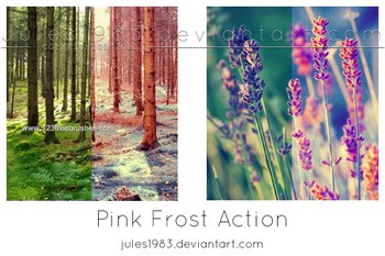 Photoshop Pink Actions