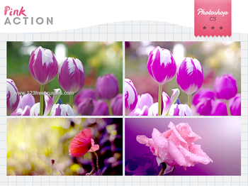 Photoshop Pink Actions