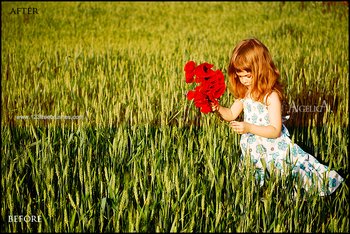 Photoshop Summer Actions