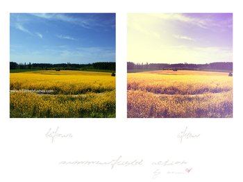 Photoshop Summer Effect