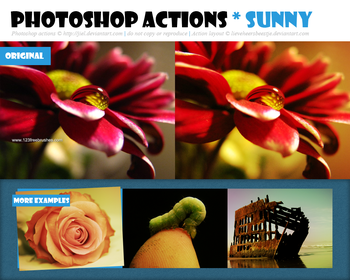 Photoshop Sunny Actions