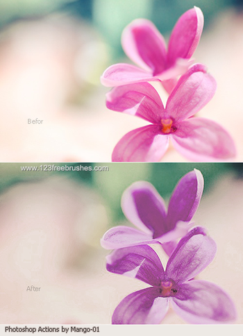 Purple Action