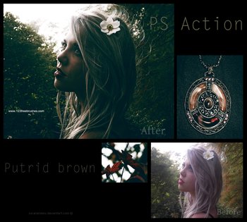 Putrid brown effect photoshop action