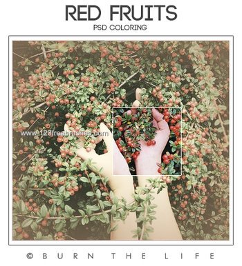 Red Fruits