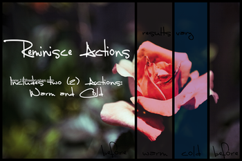 Reminisce Actions