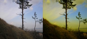 Rich Nature Color Action