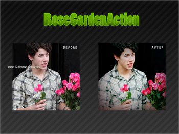 Rose Garden Action