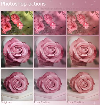 Rosy Photoshop Actions – Free