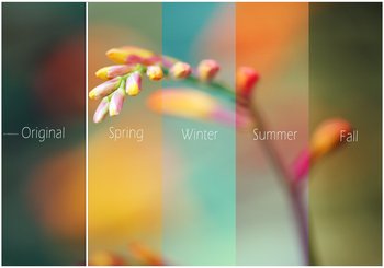 Seasonal Effect Photoshop Action