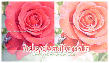 Sensitive Garden Actions Ps