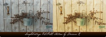 Simplevintage Pse And Ps Action