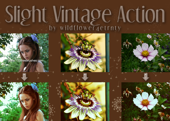 Slight Vintage Effect Photoshop Action