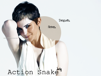 Snake Action
