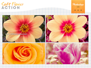 Soft Flower Photoshop Action