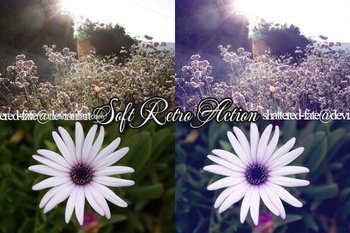 Soft Retro Photoshop Action
