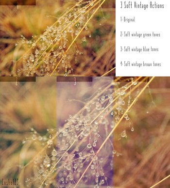 Soft Vintage Effect Photoshop Action