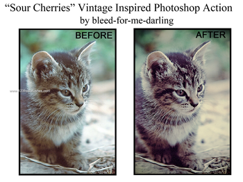 Sour Cherries Vintage Effect Photoshop Action
