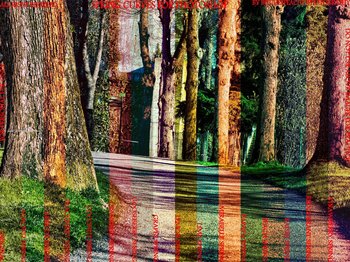 Spring Curves For Effect Photoshop Action